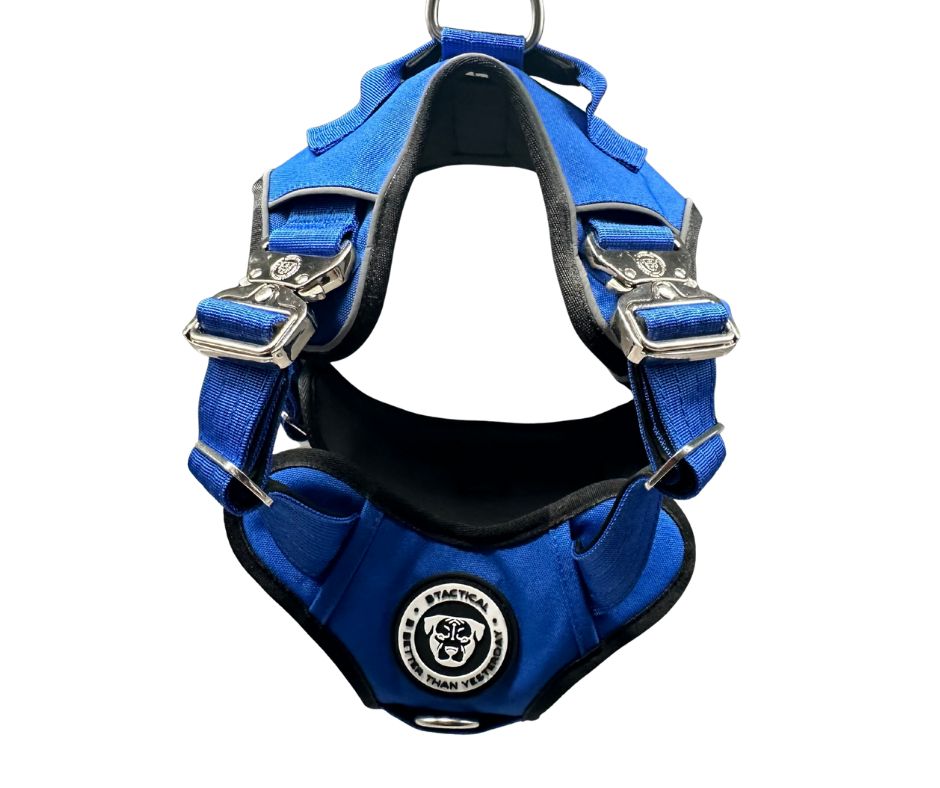 SENSE-ation No-Pull Dog Harness – Gentle Training Harness For Medium Dogs (Blue)