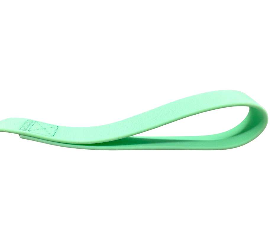 BTactical™ Extra-Strong PVC Frog Clip Dog Lead | Pastel Green