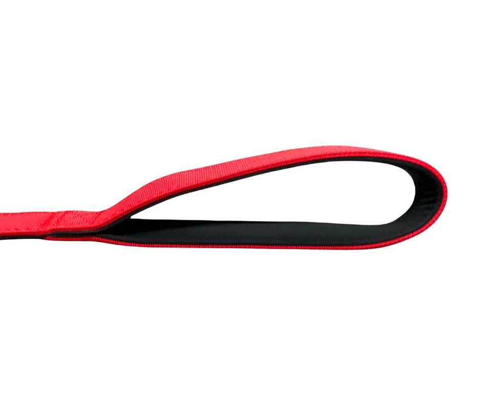 BTacticalâ„¢ Extra-Strong Nylon Carabiner Clip Dog Lead | Citrus Red
