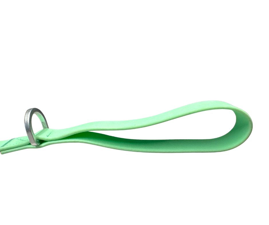 BTacticalâ„¢ Extra-Strong PVC Carabiner Clip Dog Lead | Pastel Green