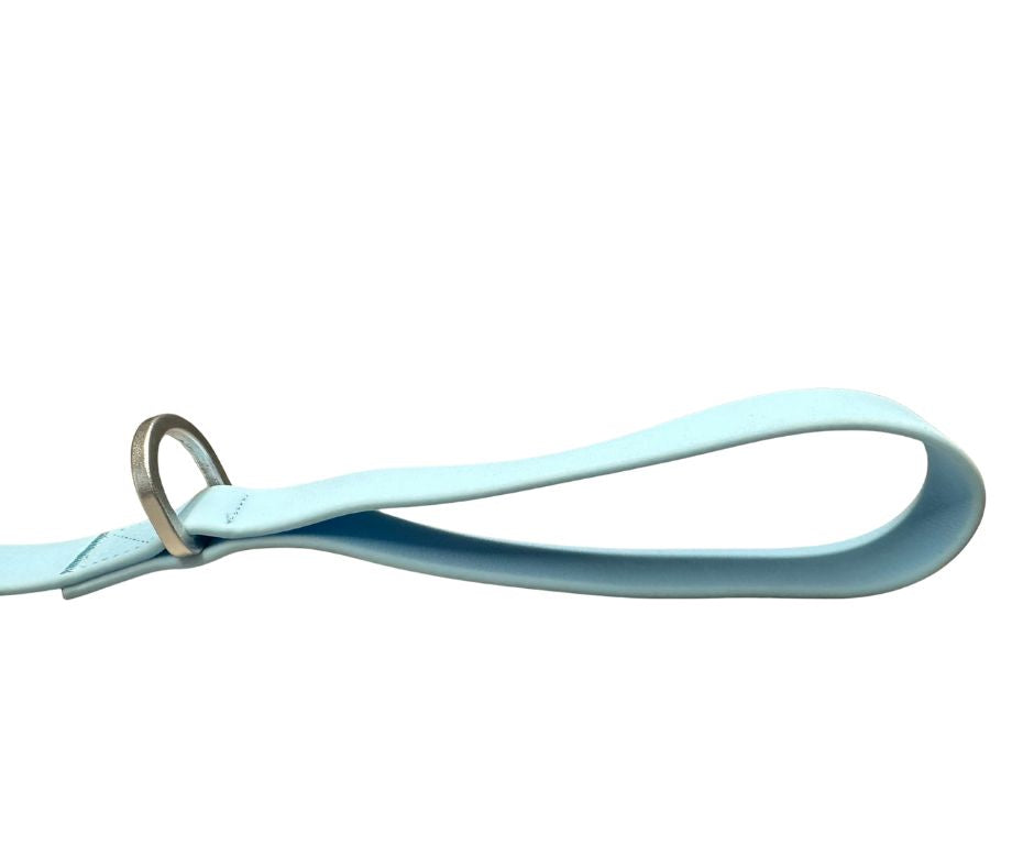 BTacticalâ„¢ Extra-Strong PVC Carabiner Clip Dog Lead | Pastel Blue