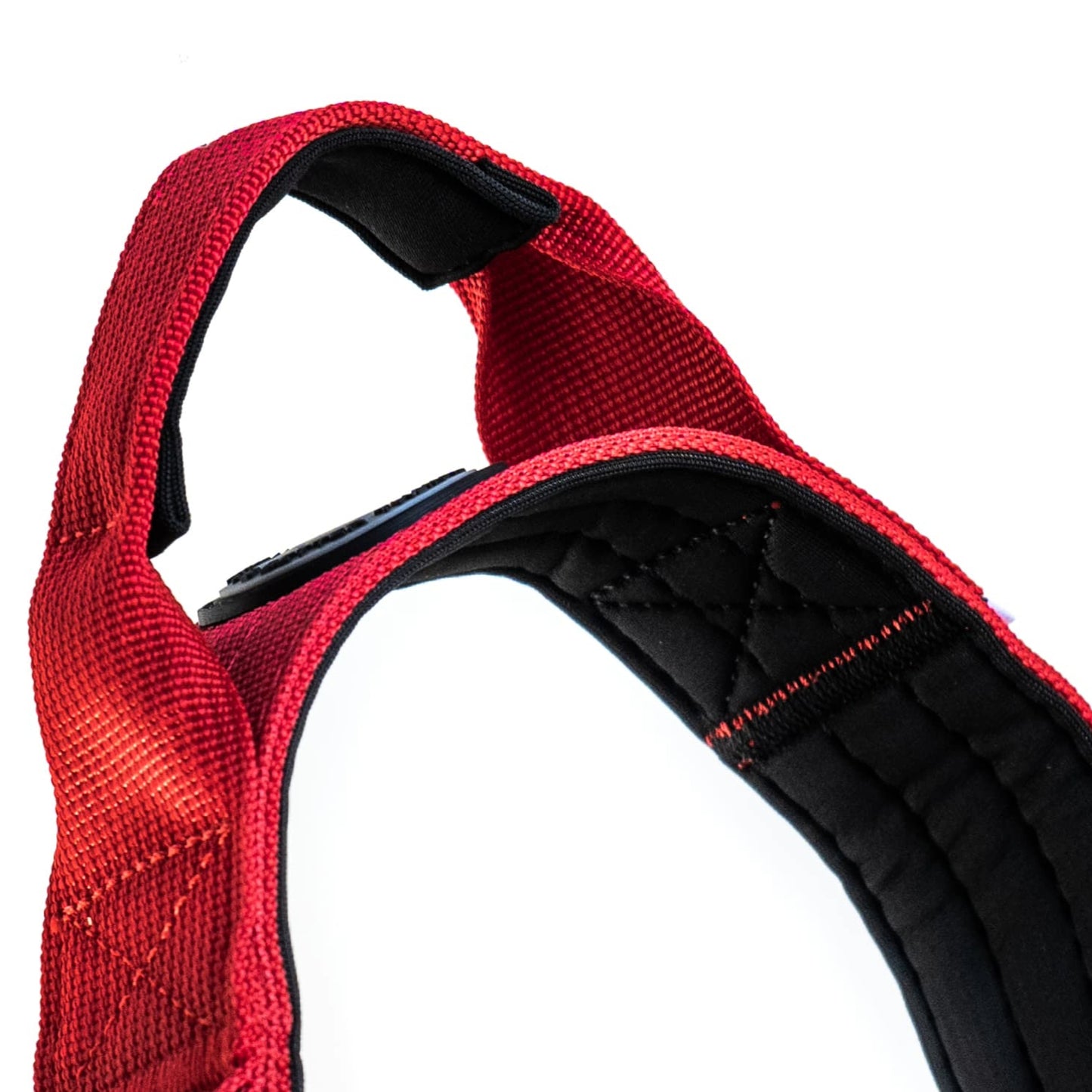 2.5cm BTactical Dog Collar