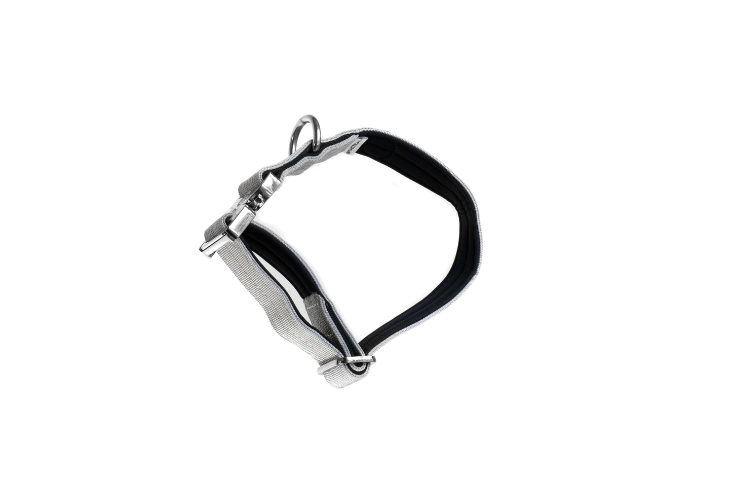 2.5cm BTactical Dog Collar