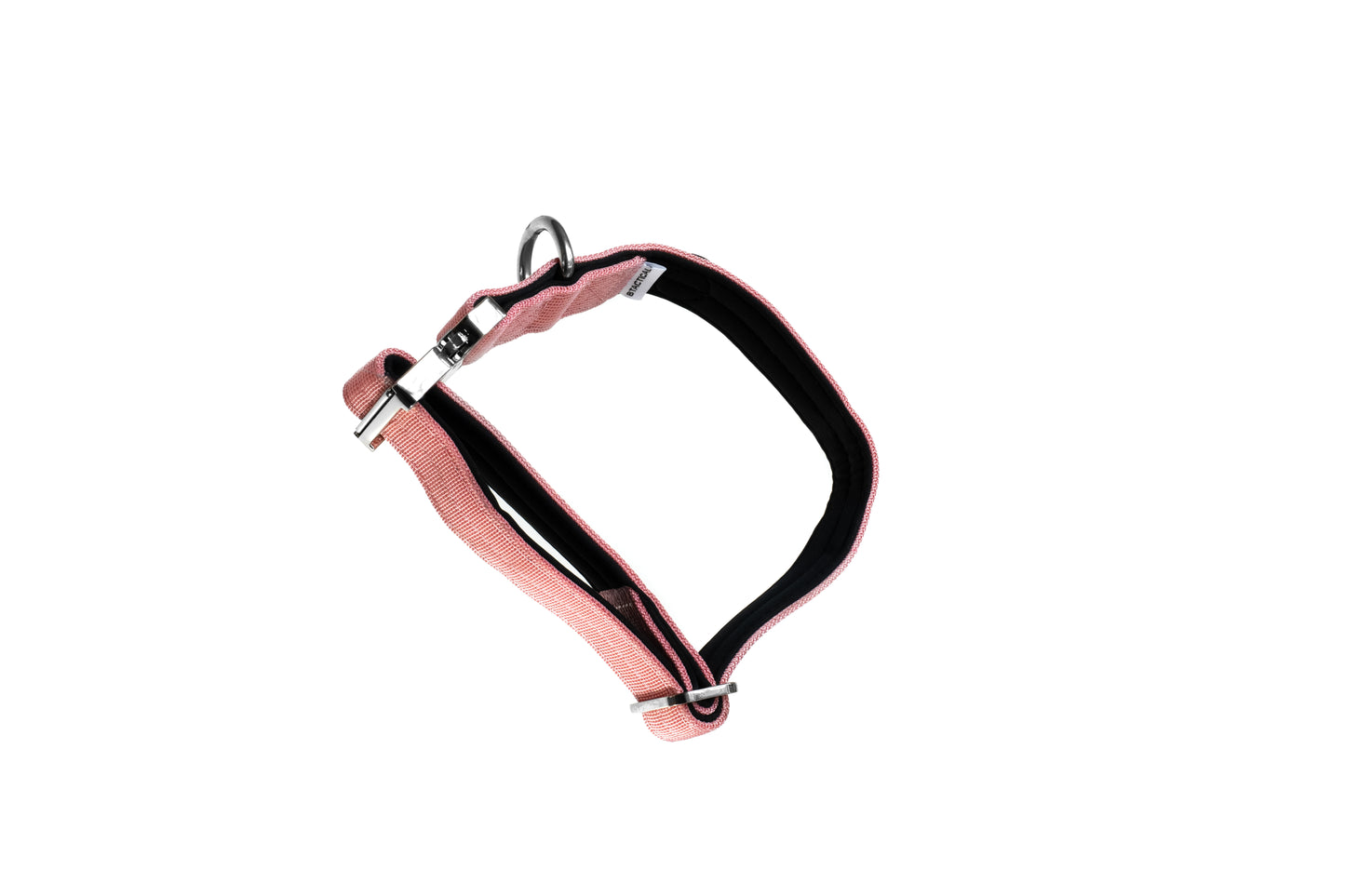2.5cm BTactical Dog Collar