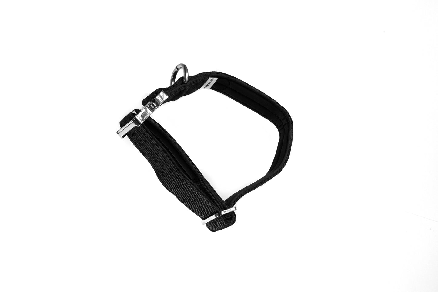 2.5cm BTactical Dog Collar