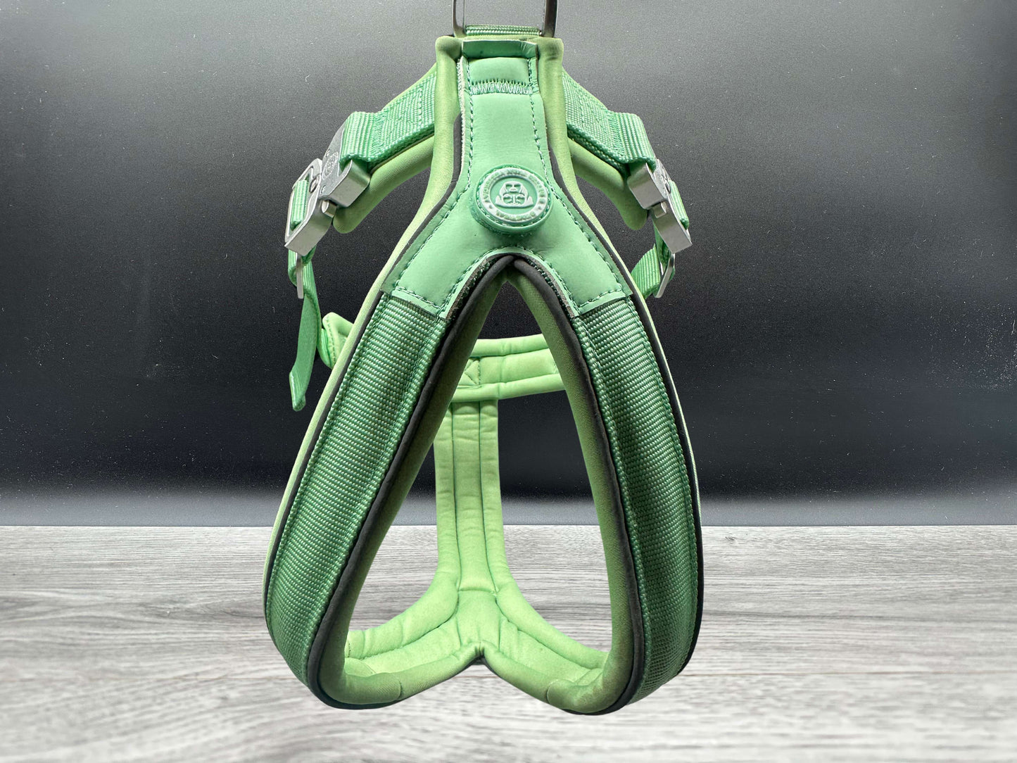 60 Day PreSale - The 2.5cm BTactical Harness - Pastel Green | Durable Slip on Dog Harness