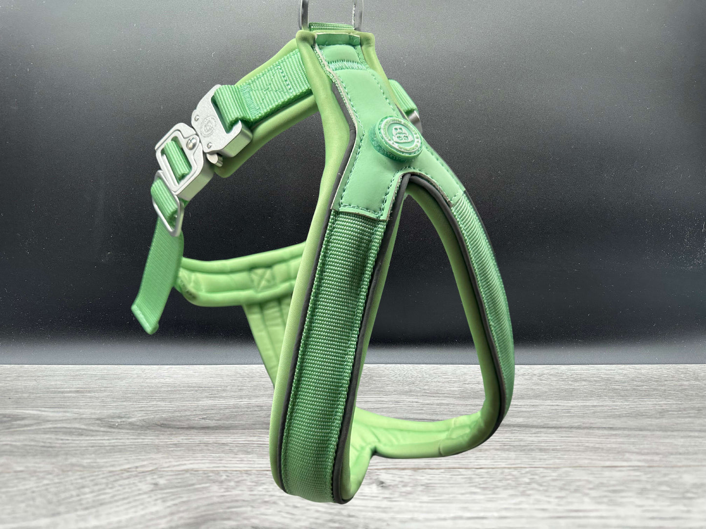 60 Day PreSale - The 2.5cm BTactical Harness - Pastel Green | Durable Slip on Dog Harness