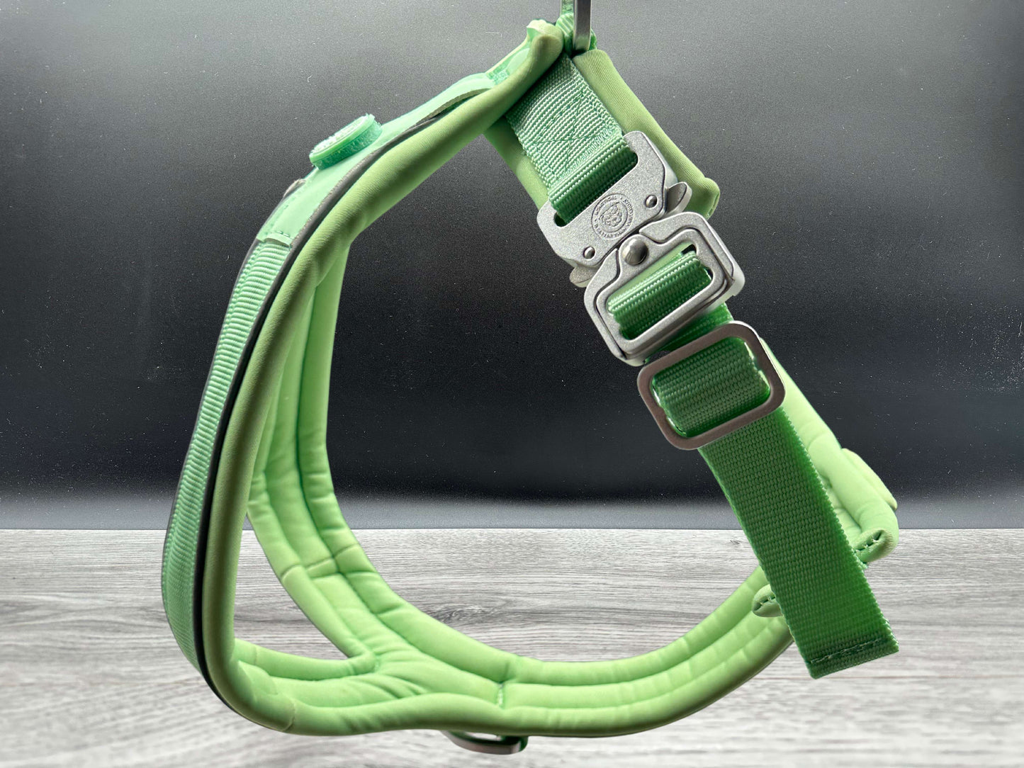 60 Day PreSale - The 2.5cm BTactical Harness - Pastel Green | Durable Slip on Dog Harness