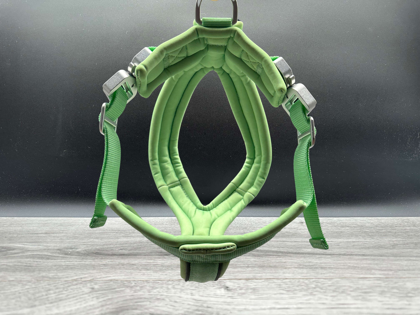 60 Day PreSale - The 2.5cm BTactical Harness - Pastel Green | Durable Slip on Dog Harness