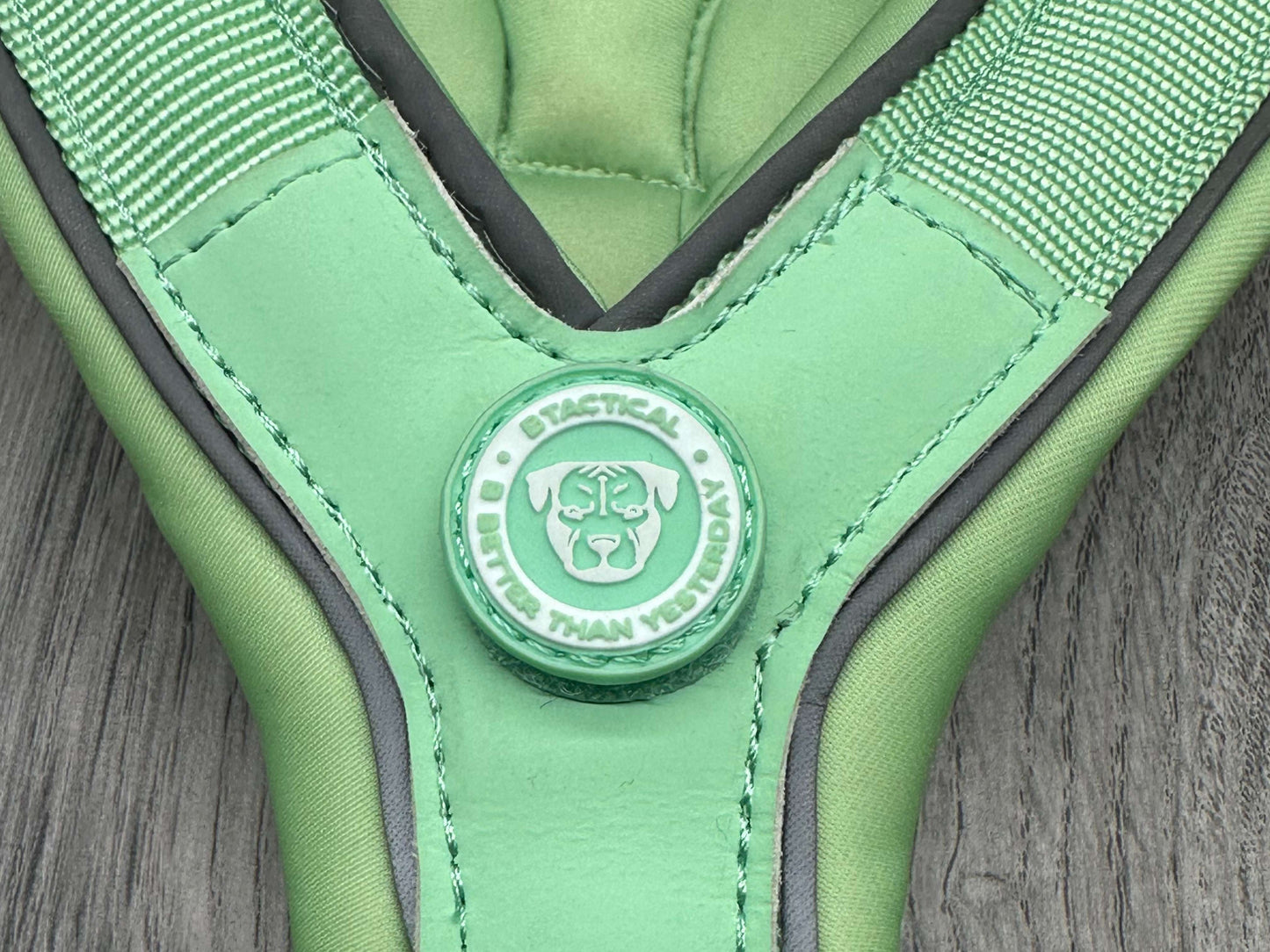 60 Day PreSale - The 2.5cm BTactical Harness - Pastel Green | Durable Slip on Dog Harness