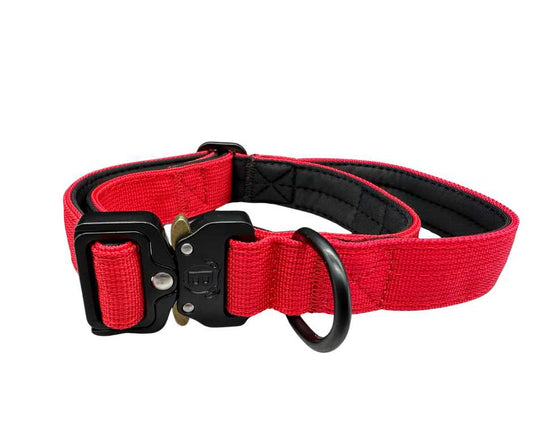 2.5cm Nylon BTactical™ Collar | Red