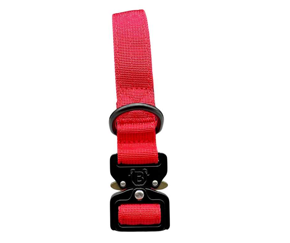 2.5cm Nylon BTactical™ Collar | Red