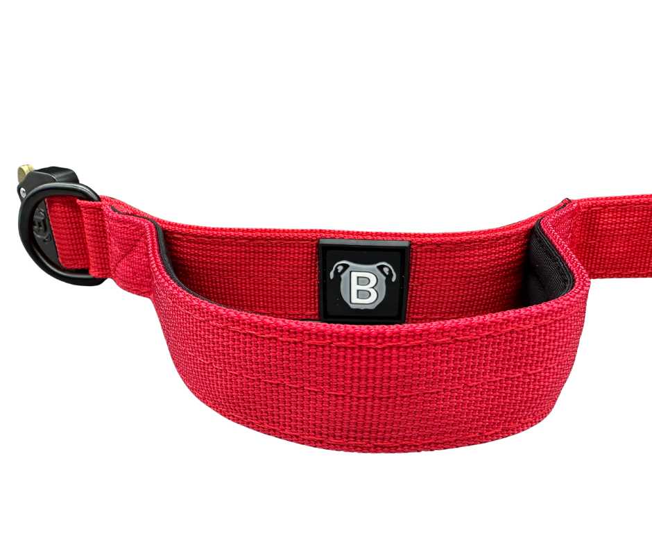 2.5cm Nylon BTactical™ Collar | Red