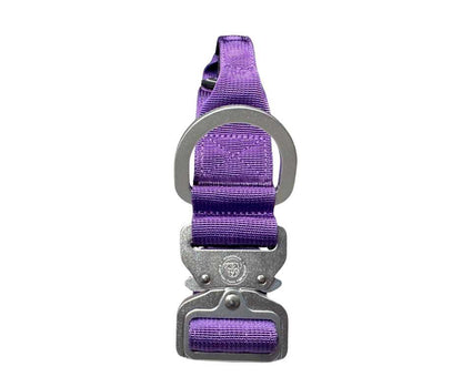 4cm Nylon BTactical™ Collar | Lavender Purple - NEW