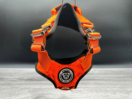 The No Pull Ultimate BTactical Harness - Citrus Orange | Tracker Dog Harness