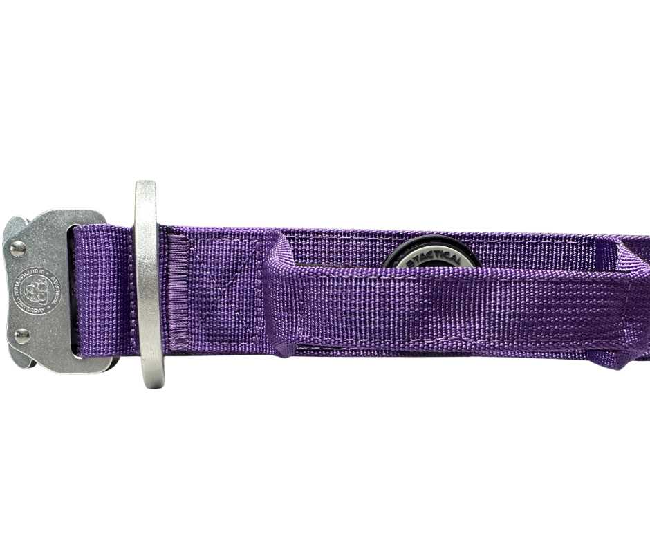4cm Nylon BTactical™ Collar | Lavender Purple - NEW
