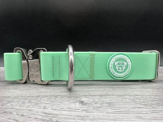 B and m dog collars best sale