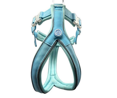 The 2.5cm BTactical™ Slip on Harness