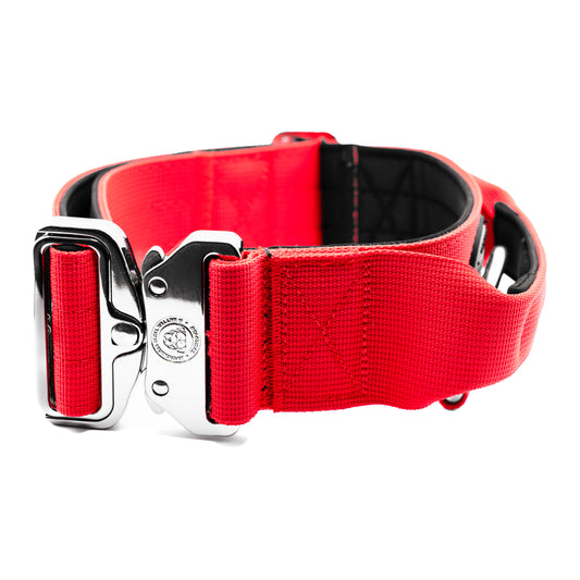 Citrus Red