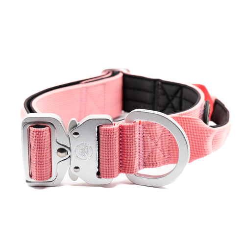 4cm Nylon BTactical™ Collar | Pretty Pink - NEW