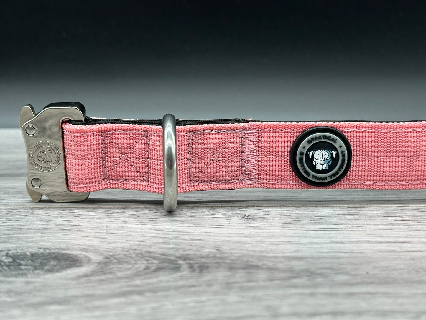 2.5cm BTactical Collar - Pretty Pink | Durable Dog Collar